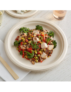 9" No PFAS Added Round Compostable Fiber Plate - 500/Case 2