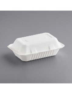 9" x 6" x 3" Compostable Sugarcane / Bagasse 1...