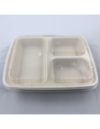 EccoCane 36oz 3-Compartment Sugarcane Bagasse Container