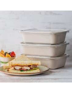 PLA Lid | Fits 10 x 7.5 Tray | 400 count 2