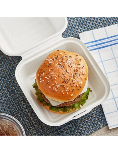 Compostable Sugarcane Take-Out Container 6″ x...