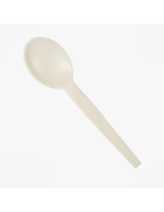 Beige PSM Heavy Duty Soup Spoon Boxed 1000/Case