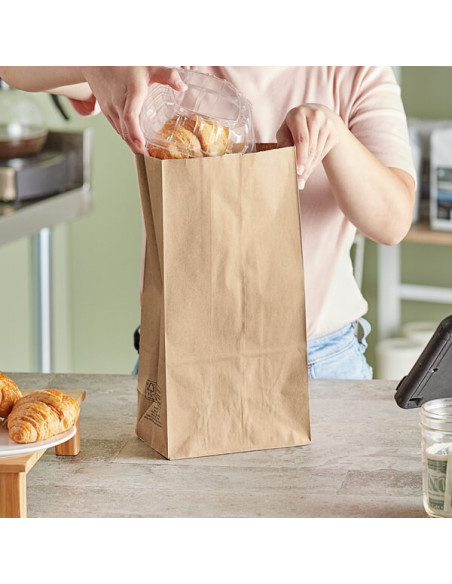 12 lb Brown Paper Bag 500/Bundle