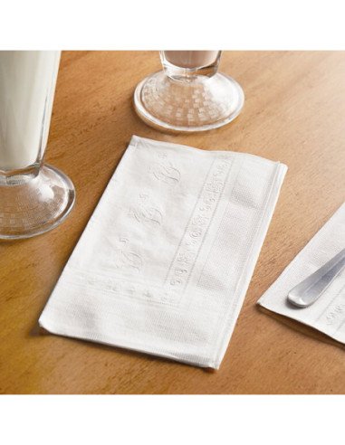 White 2-Ply Dinner Napkin 3000/case