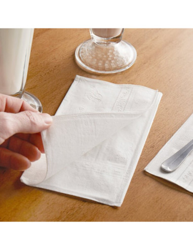 2-Ply White Dinner Napkin 3000/case