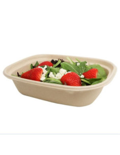 Eccocane 34 oz Rectangular To-Go Box 300/Case 2